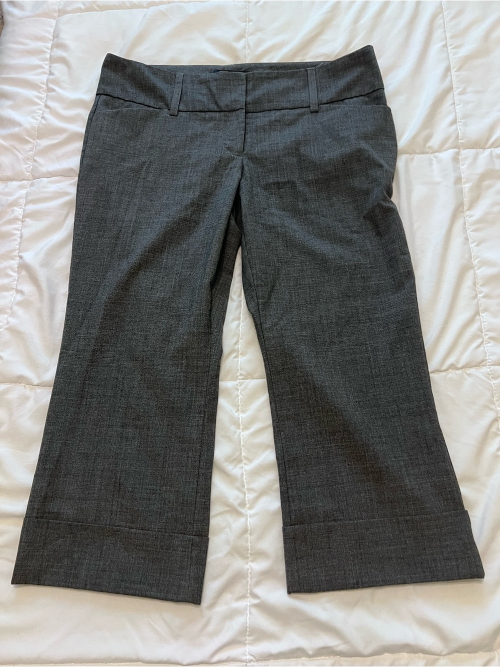 Express Wide-Leg Cropped Pants in Charcoal